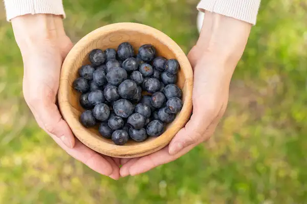 Superalimentos para la piel 