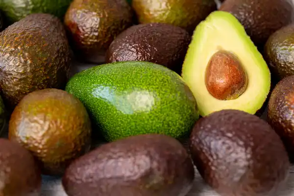 Palta